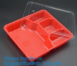 clear blister clamshell plastic raspberry containers,lunch box 4 compartment PP Blister pack Food Containers Disposable supplier