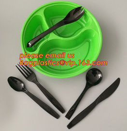 biodegradable disposable tableware essential housewares kitchenware household dollar tree one-time-use cheap dessert for supplier