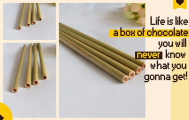 Eco Friendly Factory Directly Sales Customized Logo Bamboo Straw With Brush 100 % Natural Bamboo Straw bagease bagpac supplier