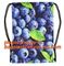 Custom Printing String Cooler Polyester Shopping Bag,Fashion eco friendly updated black polyester drawstring bag bagease supplier