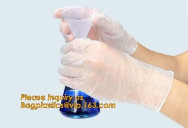 Medical Exam Use Disposable Powder Free Vinyl Gloves/Non Latex Vinyl Gloves/PVC Gloves,Disposable PVC Gloves Powder Free supplier