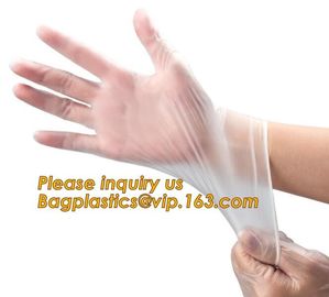 Medical Exam Use Disposable Powder Free Vinyl Gloves/Non Latex Vinyl Gloves/PVC Gloves,Disposable PVC Gloves Powder Free supplier