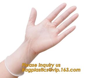 Medical Exam Use Disposable Powder Free Vinyl Gloves/Non Latex Vinyl Gloves/PVC Gloves,Disposable PVC Gloves Powder Free supplier