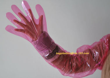 cornstarch made biodegradable compostable disposable plastic pe food handliDisposable Transparent HDPE PE Plastic Gloves supplier