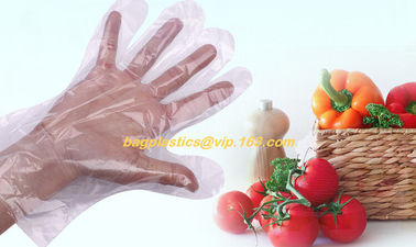 biodegradable compostable disposable plastic pe food handlng gloves, pac,iDisposable Transparent HDPE PE Plastic Gloves supplier