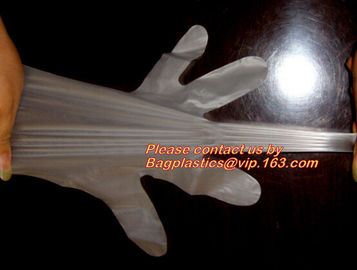 Wholesale gloves transparent plastic glove disposable clear pe medical glove,Food grade Oil resistant Glove PE CPE Dispo supplier