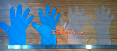 Wholesale gloves transparent plastic glove disposable clear pe medical glove,Food grade Oil resistant Glove PE CPE Dispo supplier