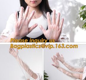 Transparent clear pe gloves disposable food bbq gloves HDPE factory price,Supplier for one time use plastic PE gloves supplier