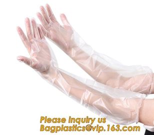 Biodegradable PE gloves Medical PE gloves disposable PE glove,Eco Friendly Disposable Transparent Home Use Pe Gloves supplier