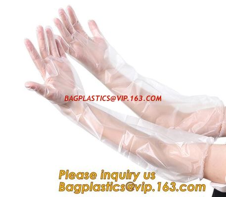 Biodegradable Pe Plastic Disposable Clean Gloves,Wholesale sanitary recyclable pe plastic hand gloves for cleaning BAGEA supplier