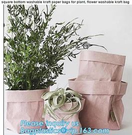 Tyvek and Kraft paper tote bag/market bag/handbags/lunch bag/shopping bag/washable bag and eco friendly BAGEASE BAGPLAST supplier