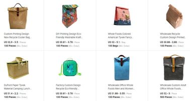 eco reusable promotion gift waterproof backpack cosmetic cooler lunch mail hand lunch tote shopping paper tyvek bagplast supplier