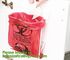 Biological Waste Disposal | Environmental Health &amp; Safety,Aerohazard Biological Hazard Bag 240x160mm bagease bagplastics supplier