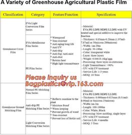 Agriculture PO film greenhouse clear plastic film,Greenhouse plastic HDPE printed film for bituminous Waterproof Membran supplier