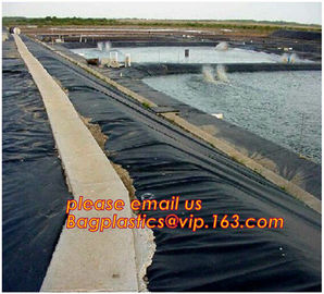 2.0mm geomembrane for landfill Hdpe geomembrane landfill geomembrane,hdpe geomembrane price/gse hdpe geomembrane BAGEASE supplier