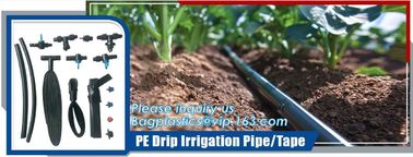 PVC PLANT GROWING GUTTER,HDPE WATER SUPPLY PIPE,PE DRIP IRRIGATION PIPE,PE TAPE,IRRIGATION TAPE,VERTICAL PLANT POT,PLANT supplier