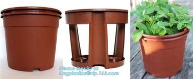 Home Decoration Black And Green Color Plastic Flower Pots,Biodegradable bamboo fibre flower pots,Desktop&amp;Balcony decorat supplier