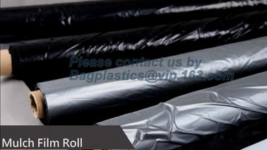 Perforated silver black mulch film for crop production,vegetable garden black / gray perforated mulch layer plastic mulc supplier