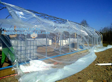 plastic film agriculture greenhouse,6 mil poly anti-uv plastic greenhouse film,Anti-fog UV resistant,mushroom,TOMATO PAC supplier