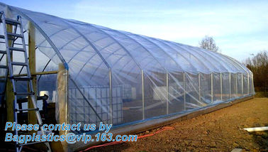 plastic film agriculture greenhouse,6 mil poly anti-uv plastic greenhouse film,Anti-fog UV resistant,mushroom,TOMATO PAC supplier