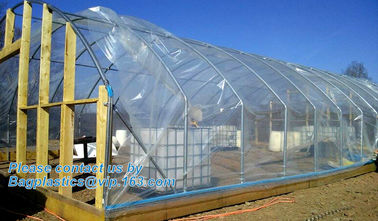 plastic film agriculture greenhouse,6 mil poly anti-uv plastic greenhouse film,Anti-fog UV resistant,mushroom,TOMATO PAC supplier