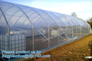 plastic film agriculture greenhouse,6 mil poly anti-uv plastic greenhouse film,Anti-fog UV resistant,mushroom,TOMATO PAC supplier