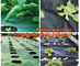 4 foot wide 1x10m/roll landscape anti weed fabric non woven professional organic strawberry weed control fabric BAGEASE supplier