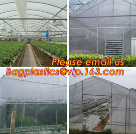 Perforated plastic mulch film save drilling troubles,perforated agricultural plastic mulch film,perforated white/black m supplier