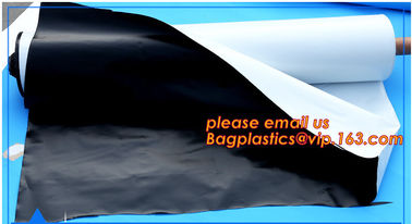 20 micron white black plastic mulch film UV stabilized anti weed white or silver mulching film for agriculture use BAGEA supplier