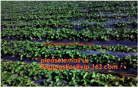 UV Resistant Black White PE/Polyethylene/Poly Reflective Plastic Mulch Film for Agricultural Ground Cover Layer BAGEASE supplier