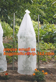 Garden used tomato plastic film cover,high light transmittance solar control seeding nursery greenhouse covers,100% virg supplier