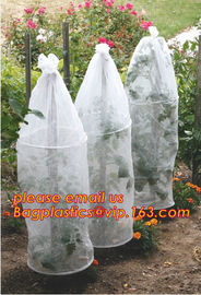 Garden used tomato plastic film cover,high light transmittance solar control seeding nursery greenhouse covers,100% virg supplier