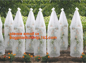 Garden used tomato plastic film cover,high light transmittance solar control seeding nursery greenhouse covers,100% virg supplier