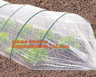 high light transmittance solar control seeding nursery greenhouse covers,100% virgin LDPE protective single layer cucumb supplier