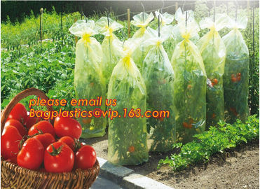 high light transmittance solar control seeding nursery greenhouse covers,100% virgin LDPE protective single layer cucumb supplier