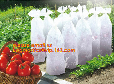 high light transmittance solar control seeding nursery greenhouse covers,100% virgin LDPE protective single layer cucumb supplier