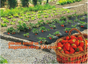 high light transmittance solar control seeding nursery greenhouse covers,100% virgin LDPE protective single layer cucumb supplier