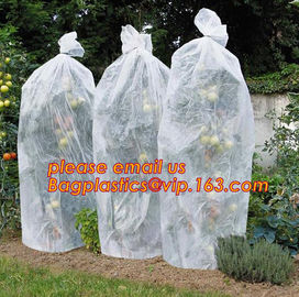 PP Non Woven Fabric Fruit Tomato Banana Bunch Cover Garden Plant Protection Cover For Winter,Eco-friendly Household Non supplier