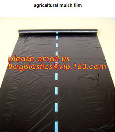 HOTICULTURAL MULCH FILM,AGRICULTURAL PE FILM,MARKET GARDENERS CLOCHE FILM,PE FILM FOR CORN,PLASTIC FILM COVER,TOMATO COV supplier