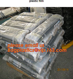 HOTICULTURAL MULCH FILM,AGRICULTURAL PE FILM,MARKET GARDENERS CLOCHE FILM,PE FILM FOR CORN,PLASTIC FILM COVER,TOMATO COV supplier