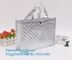 Easy K Closure 100% Environmental Friendly - Waterproof &amp; Easy Cleaning | Silver Color cool insulation bag BAGEAS supplier