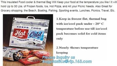 Reusable Insulated Aluminium Foil 6 Pack Cooler Bag Lunch Bag Thermal Bag,foil ldpe food delivery thermal bag bagease supplier