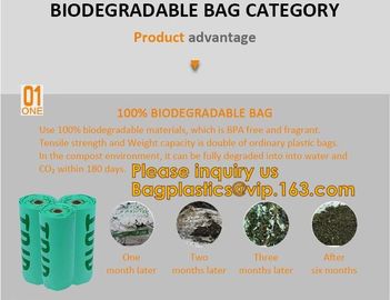 Biobag Compostable Mailer 100% Biodegradable Postage Bags Mailing Courier Bags Biodegradable Poly Mailer/ Express Heavy supplier