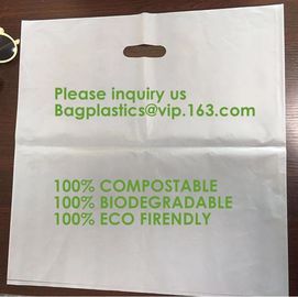 Biodegradable compostable plastic courier shipping envelope custom 10x13 matte black poly mailers bag bagplastics bageas supplier