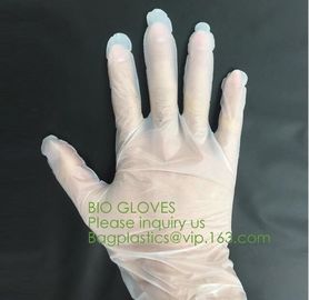 Biodegradable and compostable PLA gloves,OEM cheap biodegradable kitchen disposable gloves with EN13432 BPI OK compost h supplier