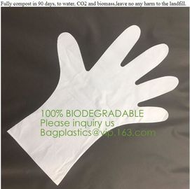 Biodegradable and compostable PLA gloves,OEM cheap biodegradable kitchen disposable gloves with EN13432 BPI OK compost h supplier