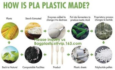 100% compostable apron, blend with PBAT+PLA+CORN STARCH, APRONS,gallon compostable drawstring trash bag BAGEASE PACKAGE supplier