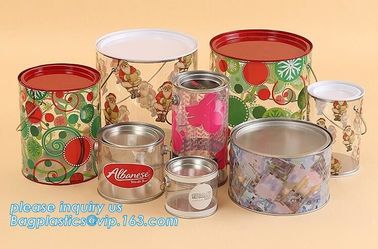 OEM ODM Accepted 680ml Plastic PET Clear Round Can For Mint Storage,Clear 1 gallon PET paint can &amp; lid with metal handle supplier