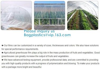 200 Micron Uv Resistant Film Greenhouse Perforated Mulch Agricultural Film Vegetable Planting supplier