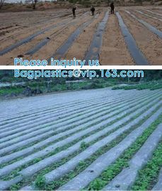 200 Micron Uv Resistant Film Greenhouse Perforated Mulch Agricultural Film Vegetable Planting supplier